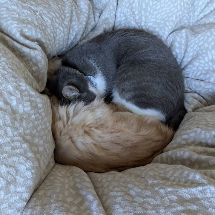 Bfe0081e 5771 409c 9ee8 9753c24996c1 1764810264067