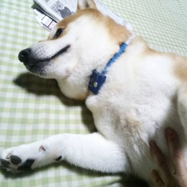 Bfe01863 eace 4cf0 9fc8 f5e6b0e35e72 1564834181758