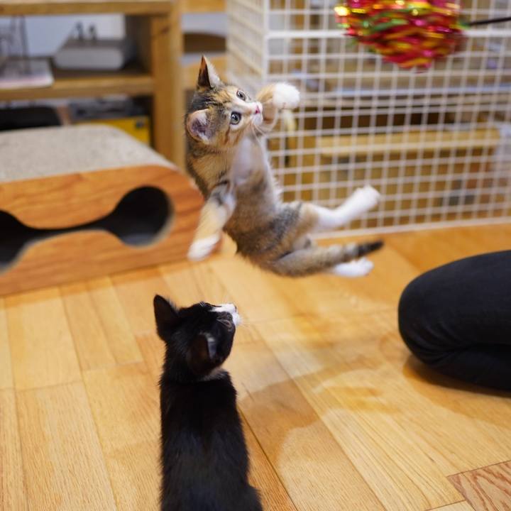 Bfe02ebe d468 44bb 9f32 d4bbcb257d7c 1567252272522