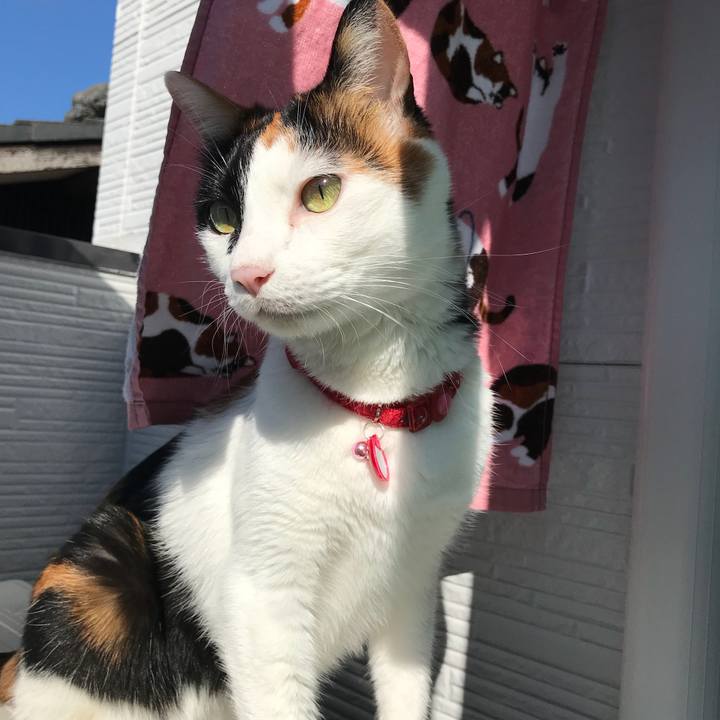 Bfe04b4a 68c2 4d08 8afd 31678cf03c99 1508979244853