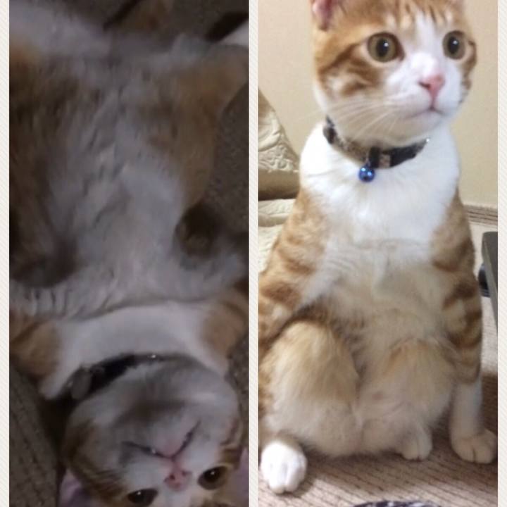 Bfe07e3c dfbb 4515 9de1 298749a77877 1511168746095