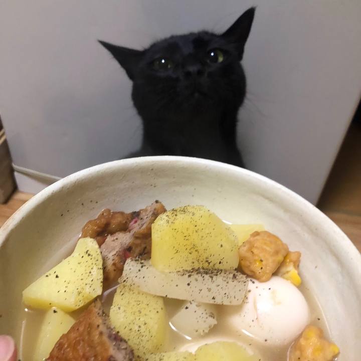 Bfe081cb cde6 4050 afc1 94aa86d7a402 1568808864087