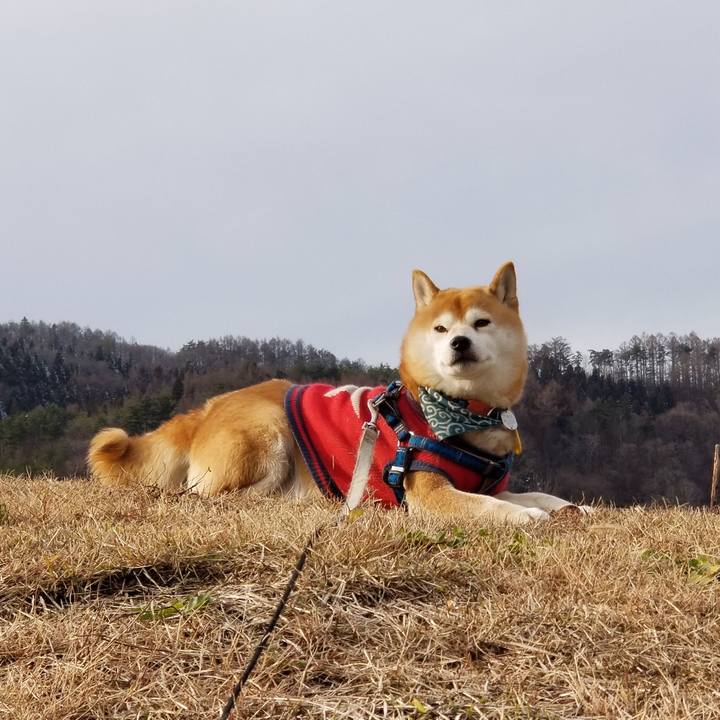 Bfe0e572 0de6 4d24 abb4 a25684a46fc0 1545716864784