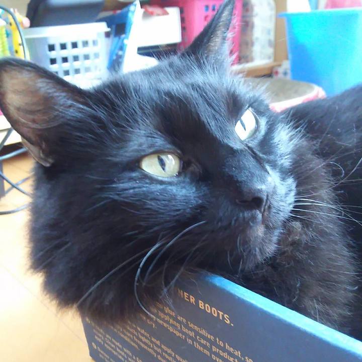 Bfe167df 0da5 4c7d b1bb 339f97188fc3 1565418846241