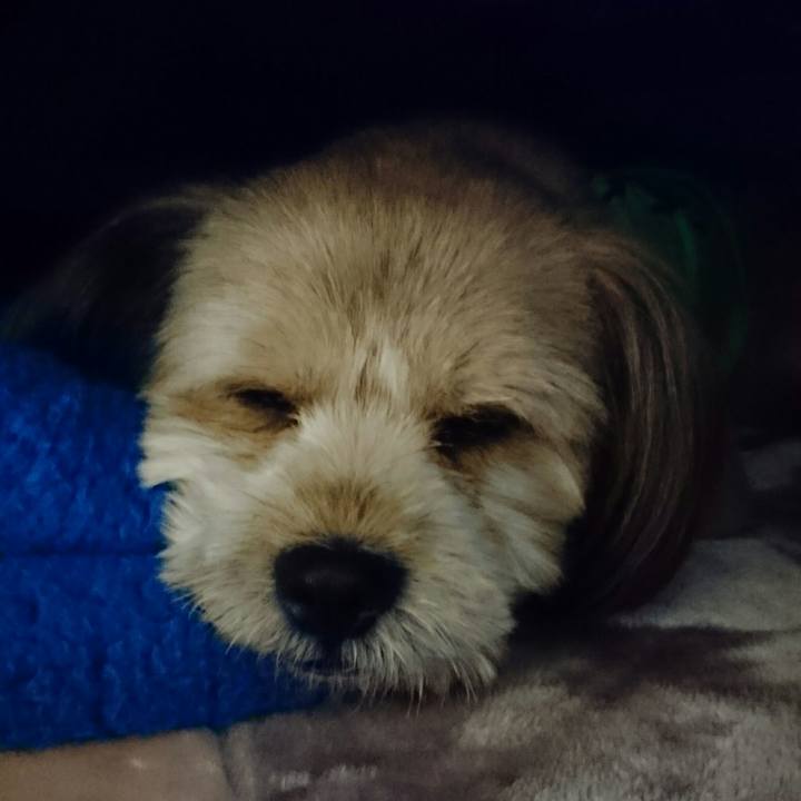 Bfe173fe 9ce0 4909 bc9b e075f8532c44 1511608186272