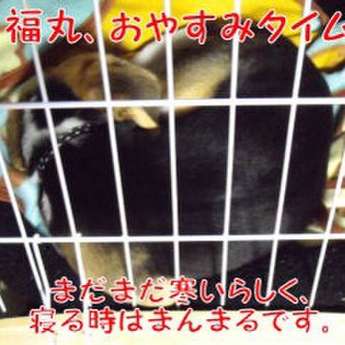 Bfe1c256 cd0a 4098 905a f7736a034559 1679198276103