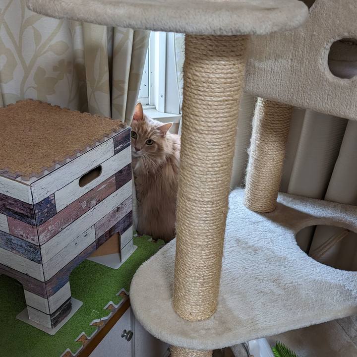 Bfe1c482 294c 45ef 8978 60a3a93d9422 1709776550102