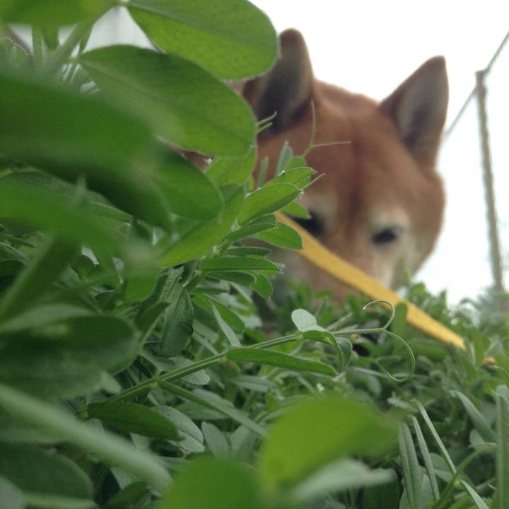 Bfe1c4b8 650c 42eb a1ce ca3197dd66b0 1553131040669