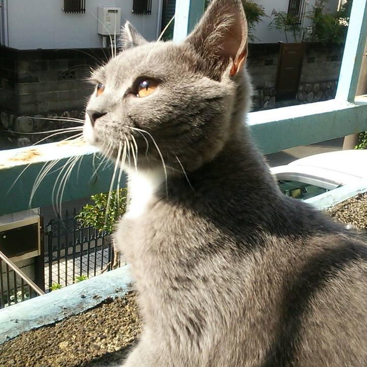 Bfe1d075 e424 48b0 8ac8 f1671d497bec 1537141831978