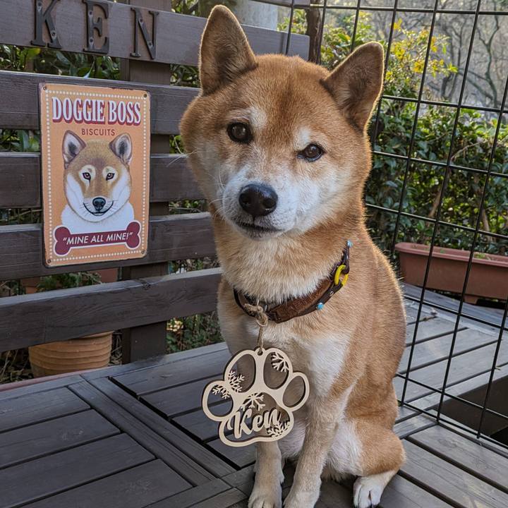 Bfe204a2 51ac 49a3 991f 49fc1fcdd2ba 1703660420559