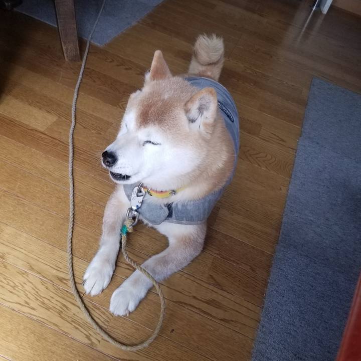 Bfe20756 7215 41b2 b44d 3f8ecd94887a 1677639903873