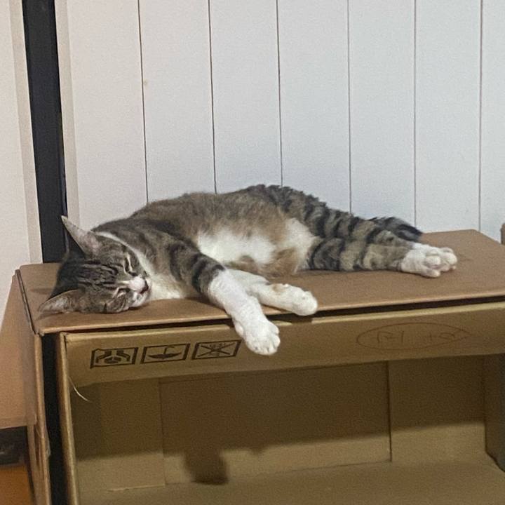 Bfe21ee9 5e3d 480c b8c6 425fe2b01602 1722680837239