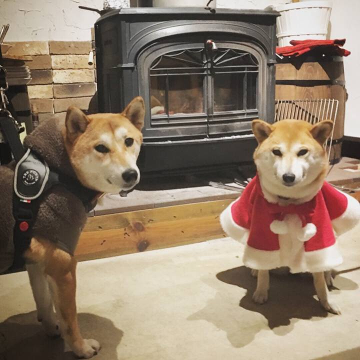 Bfe22d51 9dcc 4615 af0c 70d4090836d9 1513594872244