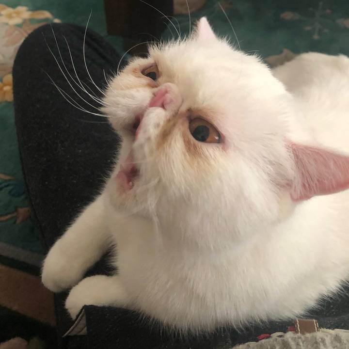 Bfe2706a 2382 4fd3 9296 3601e6d6fc2c 1644148565043