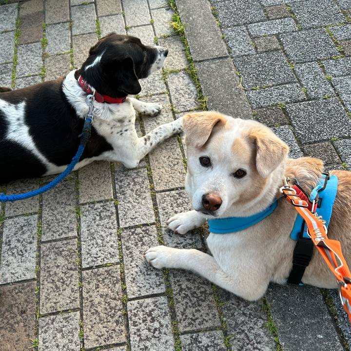 Bfe27751 e6da 48c5 a6a6 1c4ce78184c9 1683067490234