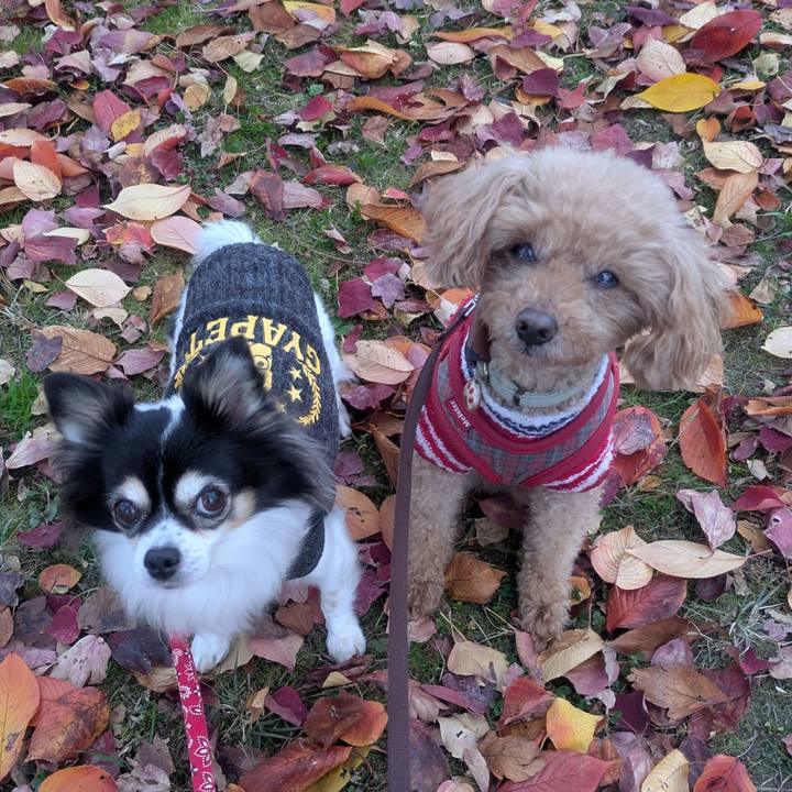 Bfe29c45 7987 4cfa 8482 8b4879f7778b 1763523961421