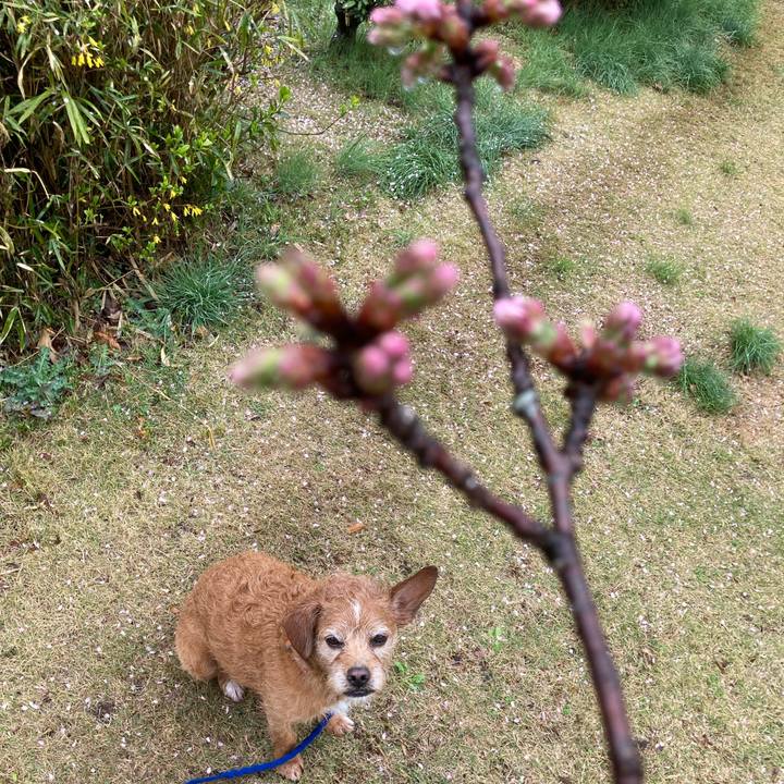 Bfe29d76 8ef8 41e1 b8d7 240cc3a4c4a8 1679128247318