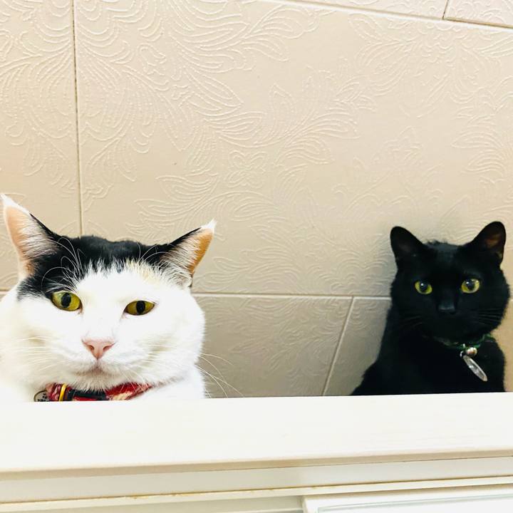 Bfe2ae43 7aad 4f95 a665 d94cbf7b3056 1708946998762