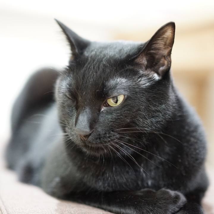 Bfe2c48b 299f 4890 a9db c346aa4e5f44 1557876453722