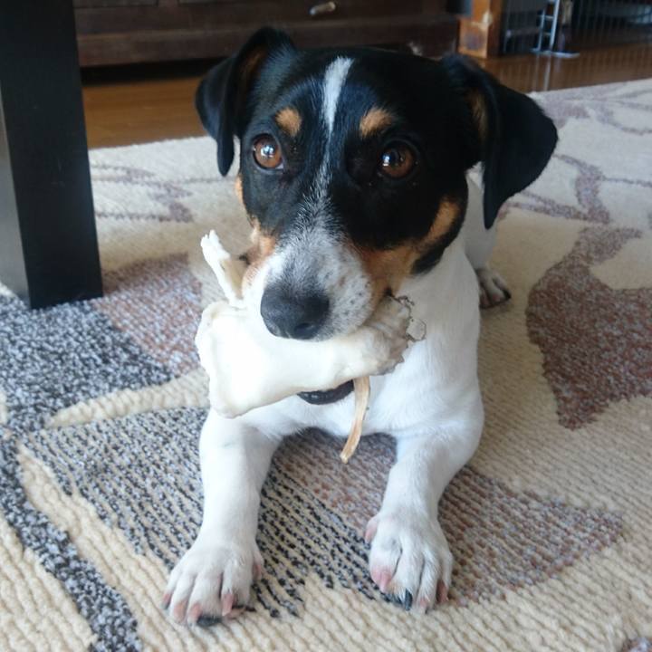 Bfe31a20 9960 4bad 84c2 7cf4df22b359 1549247076506