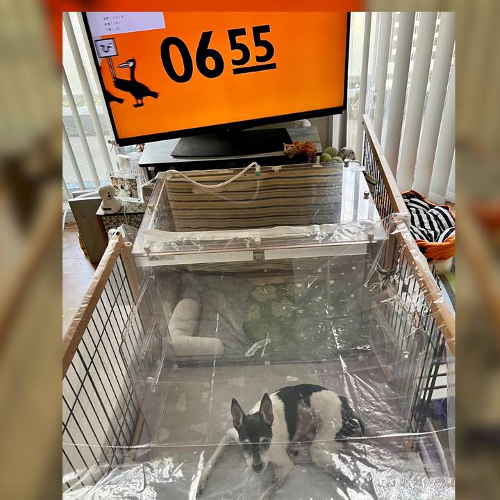 Bfe35323 30a9 4605 b270 3c207023acae 1659045474886