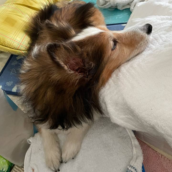 Bfe36c9c 53b3 4354 8d83 1c0f9f0af115 1628073835690