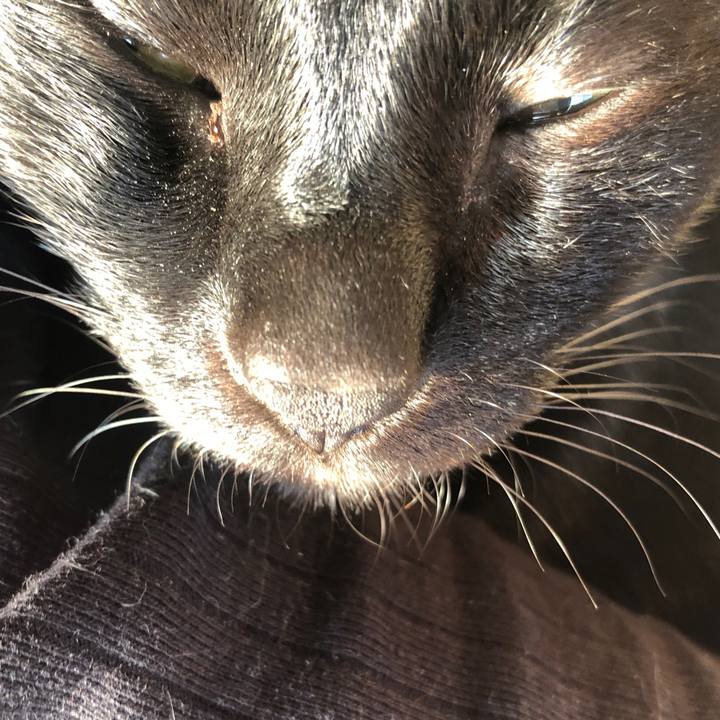 Bfe3772f 1e1b 4af0 906b 271dfd63db69 1680469525558