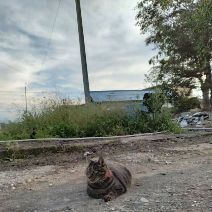 Bfe37da1 73c8 4343 812c 5700b4cb920e 1663574231466