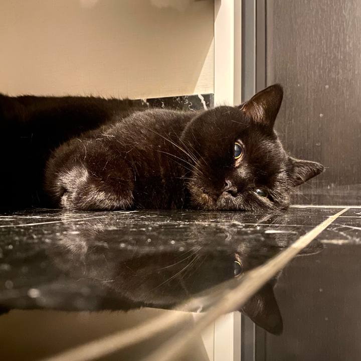 Bfe38a14 6287 40d1 8d76 df13c545cf02 1752410132433