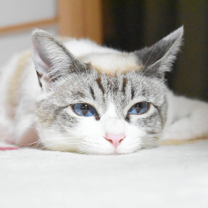 Bfe3aa29 b4d8 4284 91c8 fdac739ca210 1526469949499