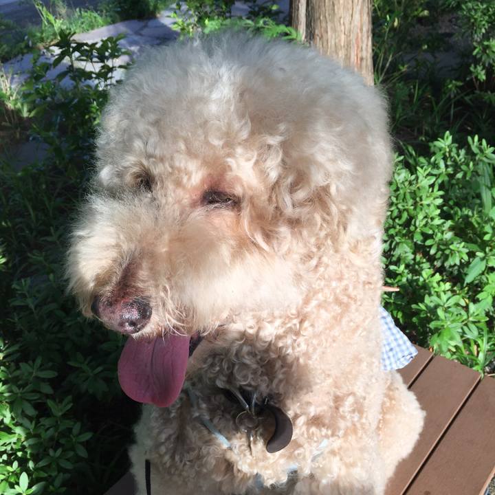 Bfe3aaba ac62 4b37 b86e 62d07ecf2845 1532696023982