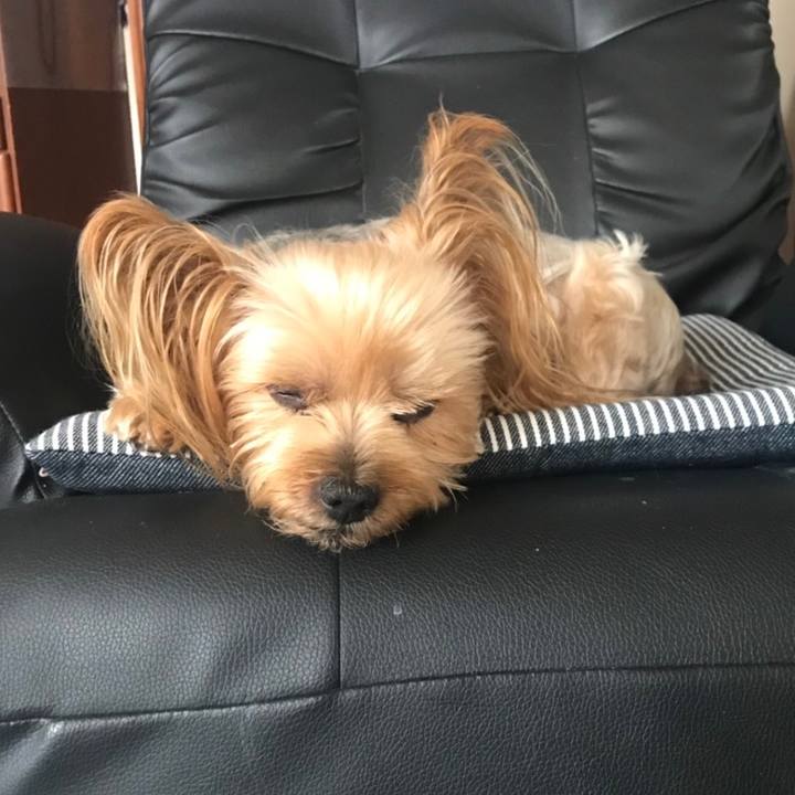 Bfe3bbdb 9bfd 495c a199 64df54b2327e 1571042284172