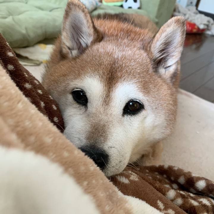 Bfe3cadf b995 486a 8931 4945b2dea8b8 1578719340276