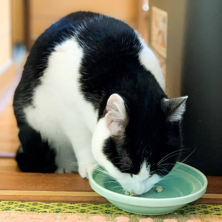 Bfe43e3d 0e4e 4ab9 b049 b99e846176c4 1585188837308