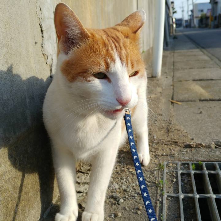 Bfe4bac8 2e89 427d 845a a4f720c00fb2 1524395979227