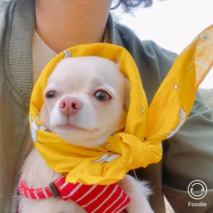 Bfe4c0e3 ced9 4230 8b28 31dbc60f2945 1617439274557