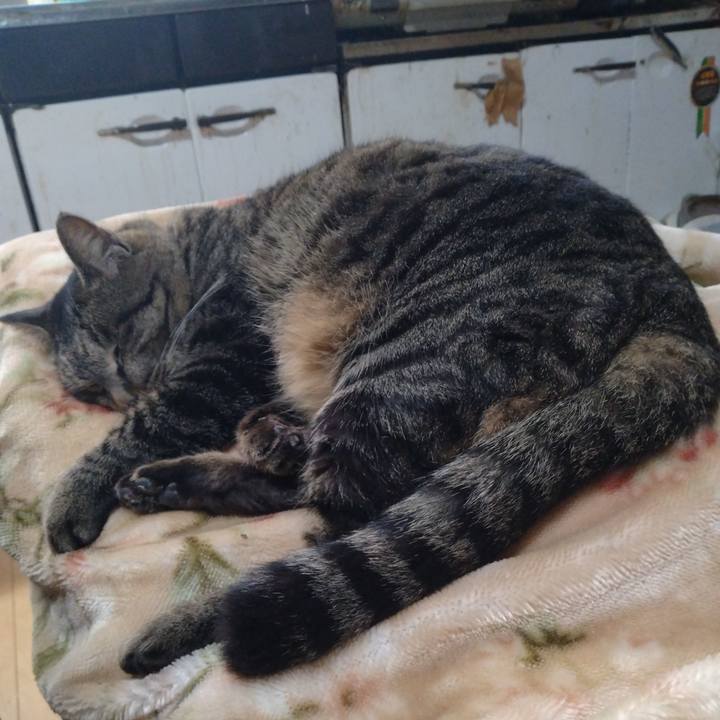 Bfe4c356 9b5d 408e b69c 600e44dd9393 1673744464489