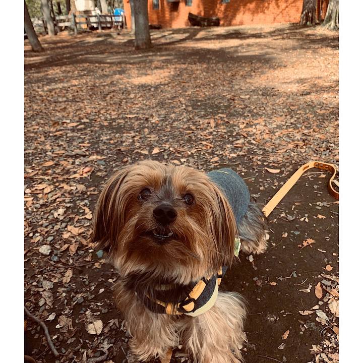 Bfe4e2cd db79 4dab 9e89 f818ededa30c 1572055107423