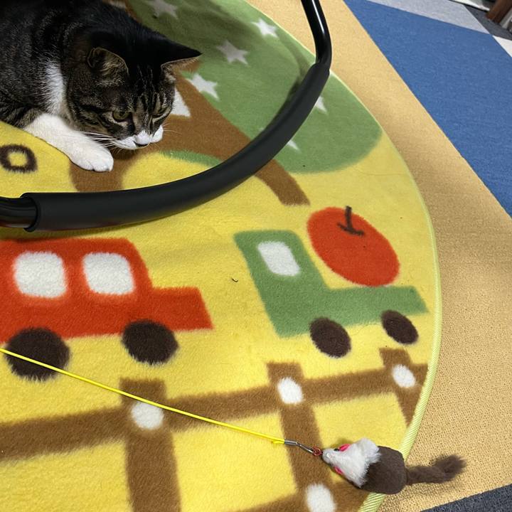 Bfe4ea4e 78ef 4b54 aa20 c404240685c3 1772494161110