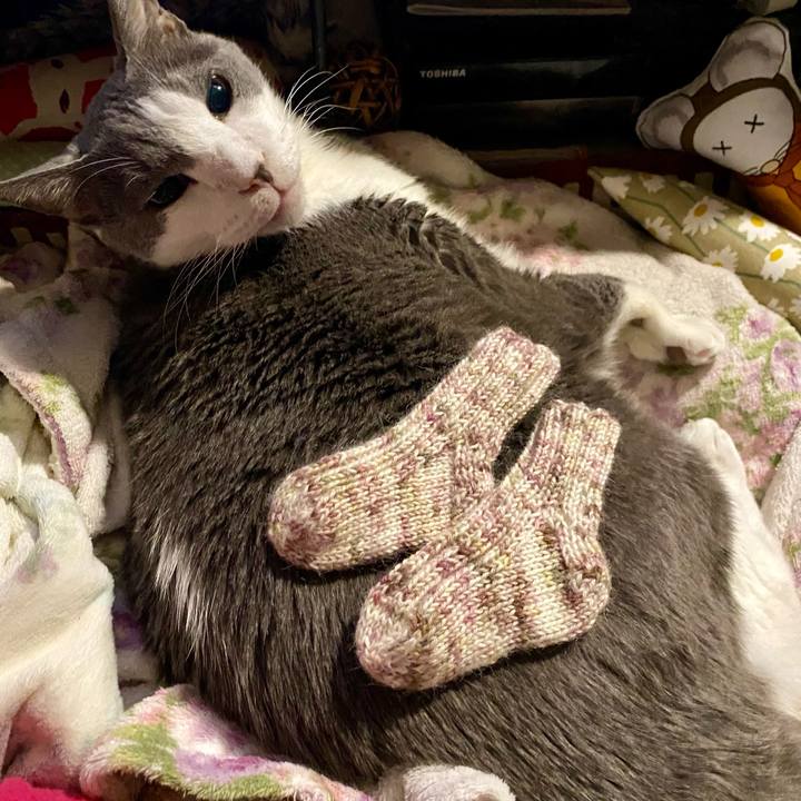 Bfe4ef6f 3d34 4107 a4d5 54efcce6f818 1765987395915