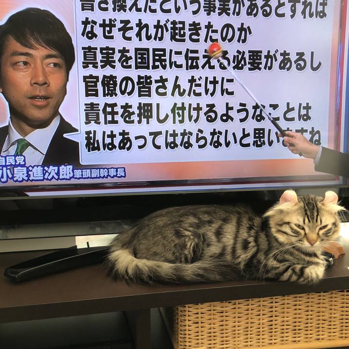 Bfe4ef79 db8b 4c66 8970 21a4784ae498 1520827048025