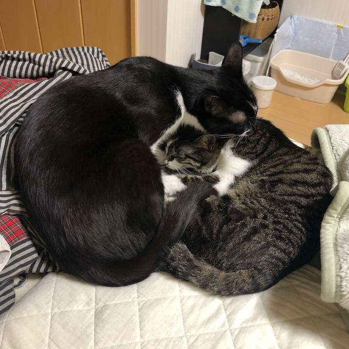 Bfe5295d 5308 484d ab50 e8dfda1e7f04 1559728486957