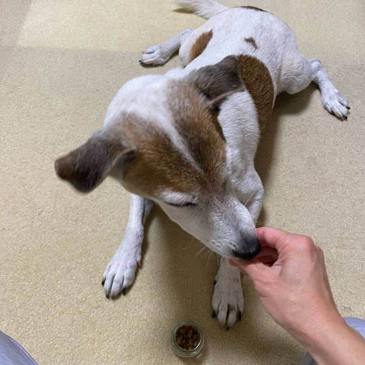 Bfe541e7 4908 4e1a bda7 b56f8f2c17b1 1597792641049