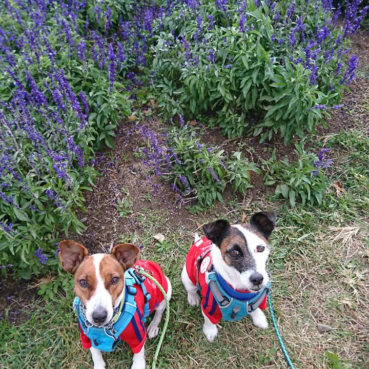 Bfe5611e 750d 4528 9227 63d4df26b3cd 1605848861229