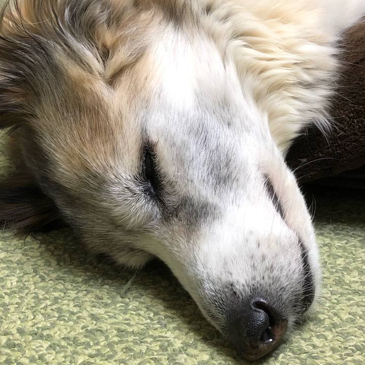 Bfe58e10 6064 47c8 8f78 dbb775b5416f 1552035281342