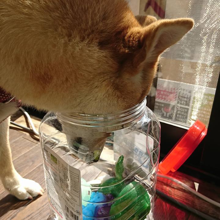 Bfe59c37 eb77 46ef 8e50 3fbd05bafe2d 1519006680601