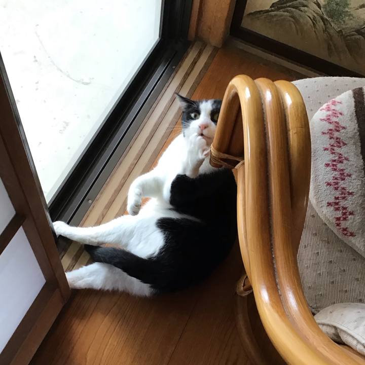 Bfe59c43 9137 4795 81dc 0809fb3b56ce 1721461084602