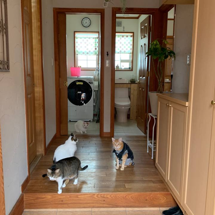 Bfe5a88f 508b 430c 8a2c addfaf9dcf3a 1652653733431