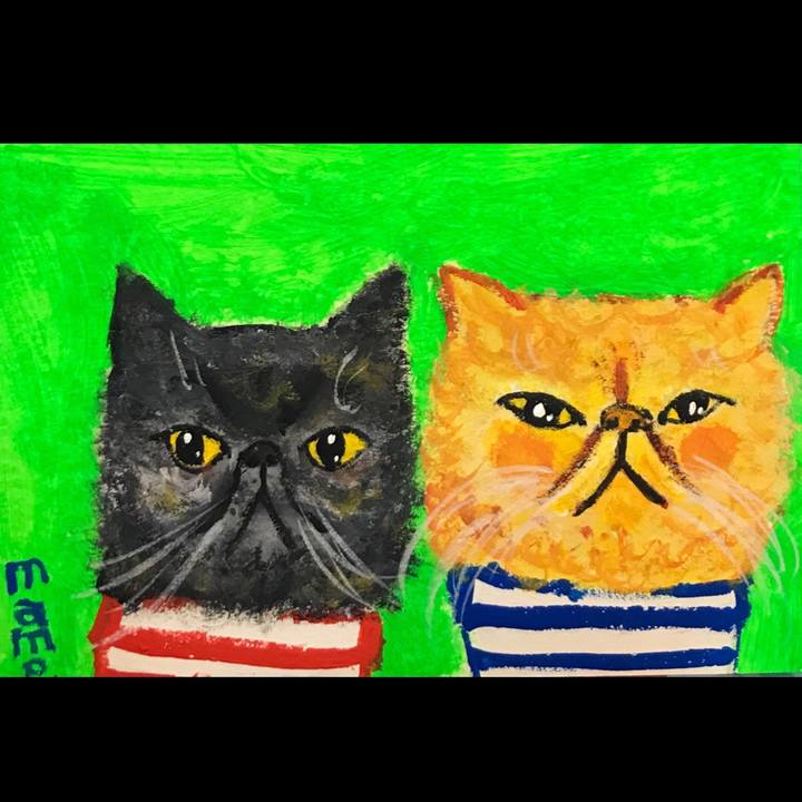 Bfe5edff 3a0a 4958 aea7 c943388d33b4 1584018410664