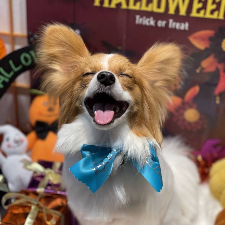 Bfe61889 e0dd 40db ba69 508a1217ee7d 1634132117312